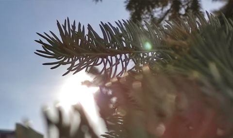 Прогноза за времето днес, 14 февруари: Слънчево, вятърът се усилва от запад - 1