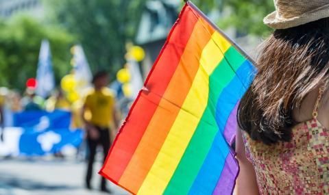 ВМРО: Спрете гей парада, демонстриращ групово психично отклонение - 1
