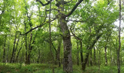 Две нови територии минават под закрилата на закона - 1