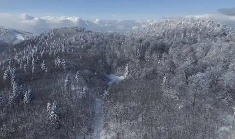 Силни снеговалежи изолираха десетки населени места в Югоизточна Турция - 1