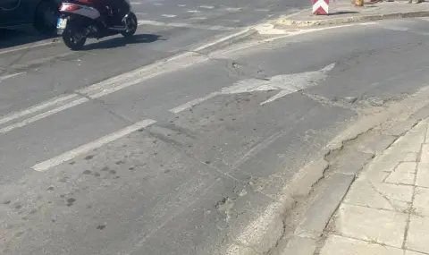 Заместник-кмет на София отмени ремонт на ключов булевард в София - 1