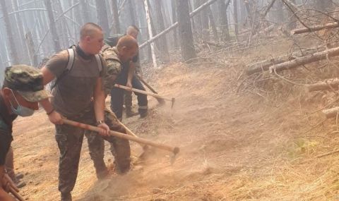 Над 10 000 декара гора е пострадала от пожари в Родопите - 1
