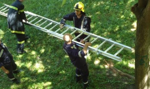 Пожарникари свалиха дете от дърво в Хасково - 1