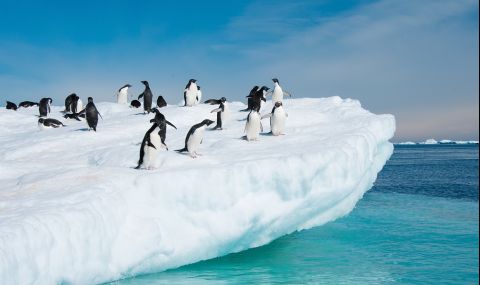 Рекордно е намалял морският лед в Антарктика през юли - 1