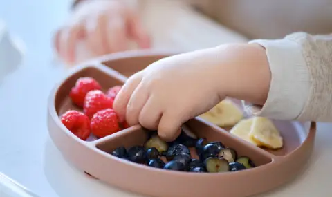 Учени: Боровинките в менюто на бебетата укрепват имунитета - 1