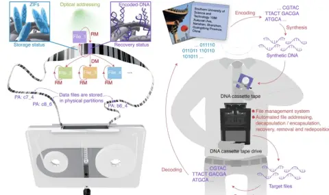 ДНК касета, която може да съхранява милиарди песни - 1