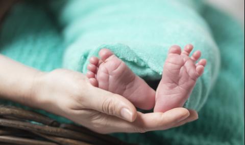 Драстичен спад в раждаемостта - 1