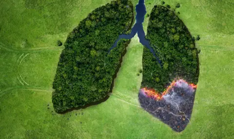 Кога ще свърши кислородът на Земята? Учени отговориха - 1