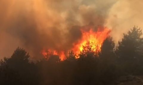 Голям пожар край ивайловградското село Свирачи  - 1