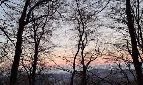 Ветровит петък - 1