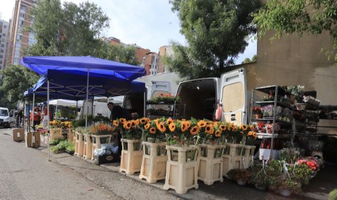 Местене: Търговците на едро на цветя от столичния пазар "Димитър Петков" отиват в "Подуяне" - 1