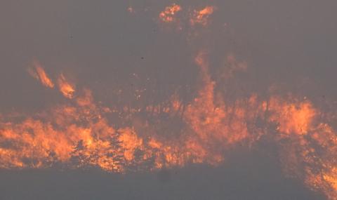 Голям пожар бушува край Сливница - 1