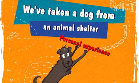 Трогателният живот на едно осиновено куче разказан в картинки - 1