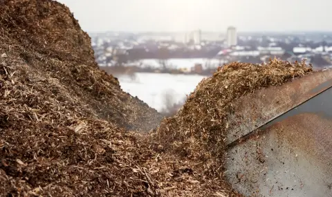 Еколози: Биомасата от дивите животни спада драстично за сметка на човека и опитомените видове - 1