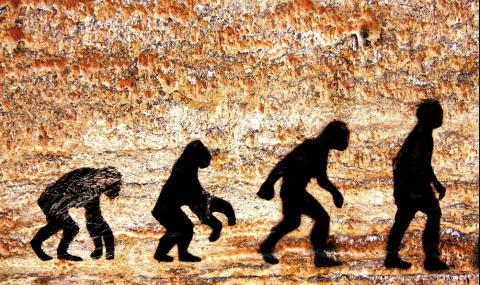 Homo sapiens: Еволюция на възпроизводствения процес - 1