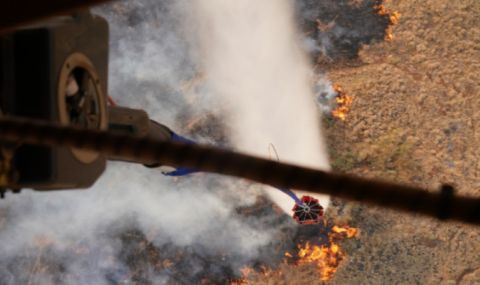 Загиналите в горските пожари на остров Мауи станаха 99 - 1