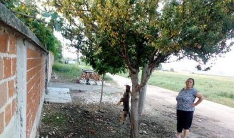 Ромката, обесила кучето си на дърво: Стана ми много мъчно - 1