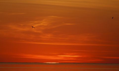 Жега! Жълт код за България - 1