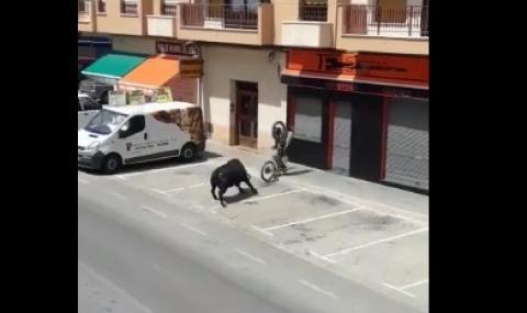 Разярен бик награби мотоциклета (ВИДЕО) - 1