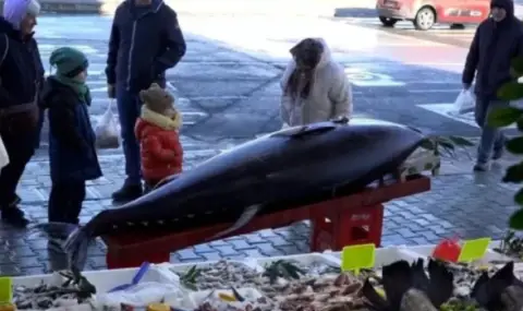 Уловиха гигантска риба в Черно море - 1