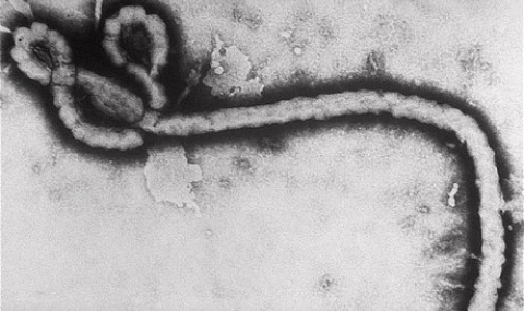 Втори случай на Ебола в Либерия - 1