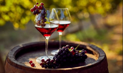 Съвети за производство на домашно вино - 1