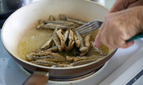 Трикове как бързо да премахнете миризмата на пържена риба у дома - 1