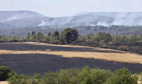 Важните новини във ФАКТИ на 24.07.2025 г. - 1