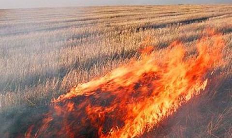 Потушиха голям пожар във Видинско - 1