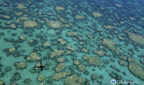 Премиерът на Австралия обеща още 700 млн. долара за Големия бариерен риф - 1