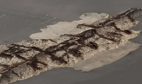 В София: Парче бетон падна върху кола с 2-годишно дете в нея (СНИМКИ) - 1