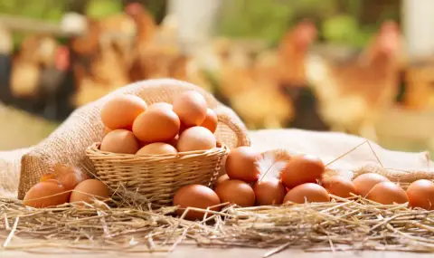БАБХ затвори обекти и забрани продажбата на 200 000 яйца - 1