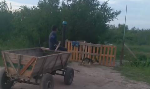 Циганин от Враца стъписа мрежата с брутална жестокост (ВИДЕО) - 1