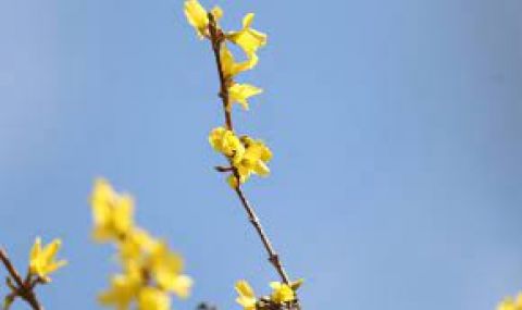 Затоплянето продължава - 1