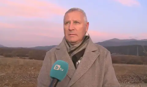 Vandals cut down windbreak poplars on the road to the Yavorov hut  - 1