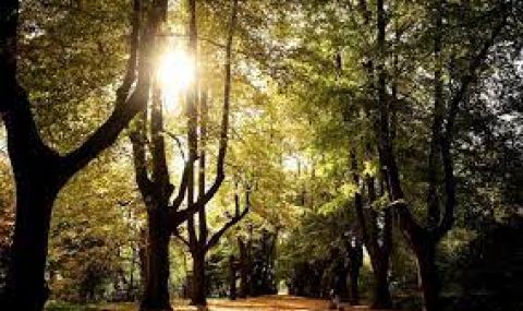 Слънчева неделя, температурите се повишават - 1