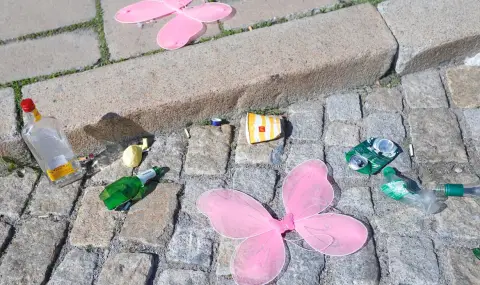 Шкварек за боклука: Нямам съмнение, че Васил Терзиев ще излезе като политически победител от тази криза - 1