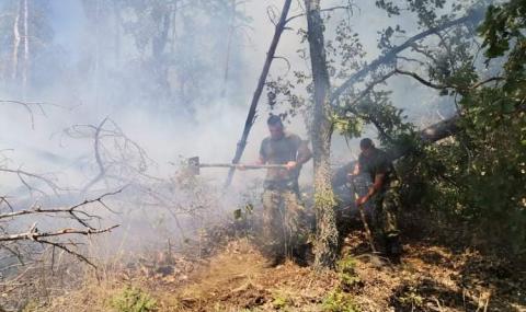 Потушен е горският пожар в Свиленградско - 1