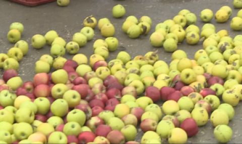 Производители на плодове и зеленчуци протестираха в Русе - 1