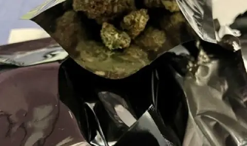 Над 30 килограма марихуана са иззети при полицейските операции в област Стара Загора - 1