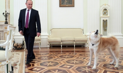 Кучето на Путин не хареса японски журналисти - 1