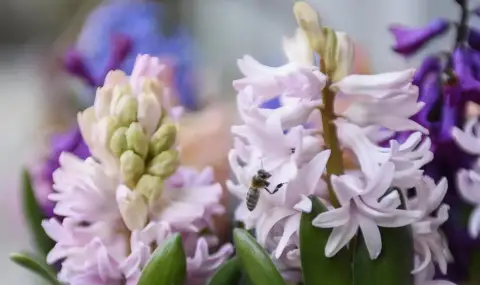 Electrohold provides 7 scholarships to students under the M.O.V.E. program.  - 1