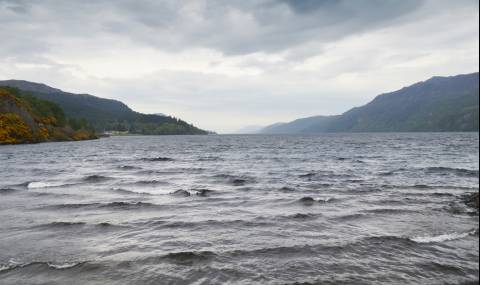 Къде изчезна Неси? - 1