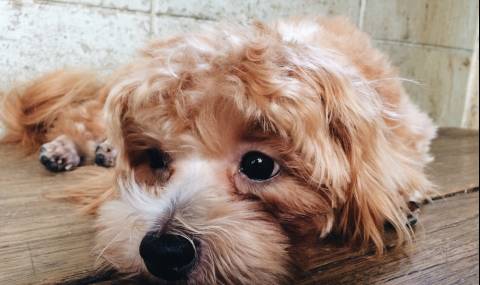 Лошото ви настроение е силно заразно! - 1