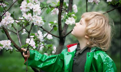 Облачно и дъждовно, на места и с гръмотевици - 1