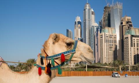 Купувачи и наематели диктуват пазара в Дубай - 1
