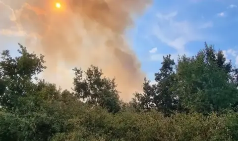 Замърсяване на въздуха в Сандански заради пожарите, общината с препоръки към хората - 1