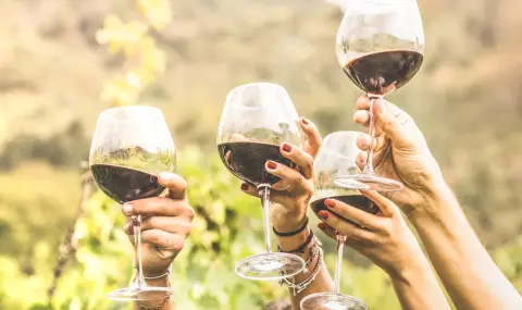 Днес е денят на червеното вино! Празник на класата и богатия вкус - 1