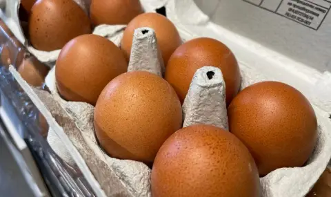 Има ли измама с вносните яйца - 1