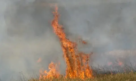 Пожар затвори временно пътя между селата Левски и Попинци - 1